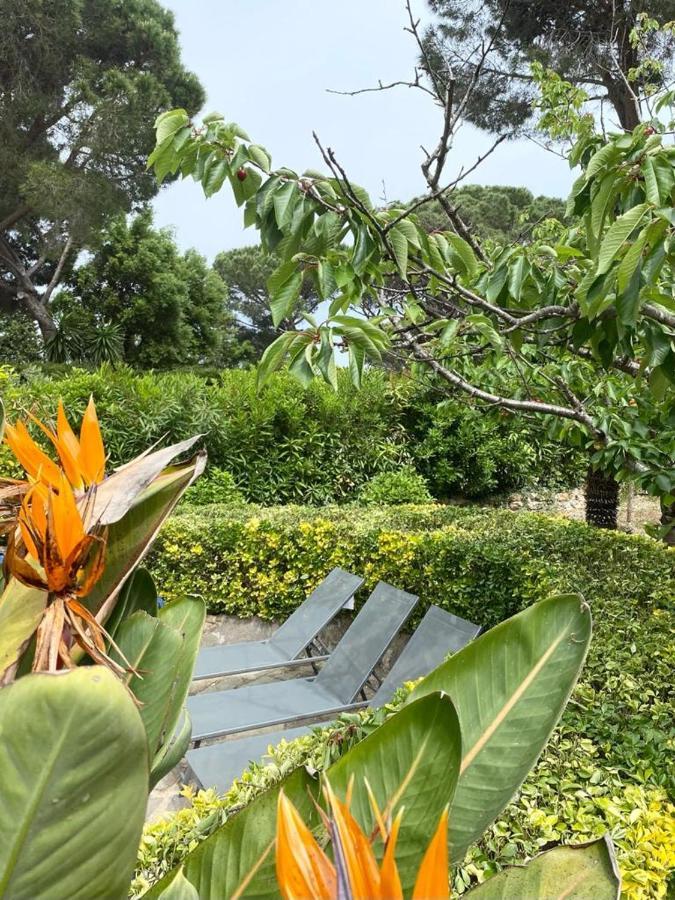 Villa Domaine Font Mourier Cogolin Εξωτερικό φωτογραφία